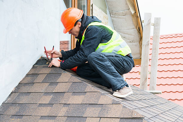 Best Roof Maintenance Services  in Morrison, IL
