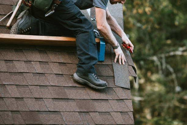 Best Roof Repair Services  in Morrison, IL
